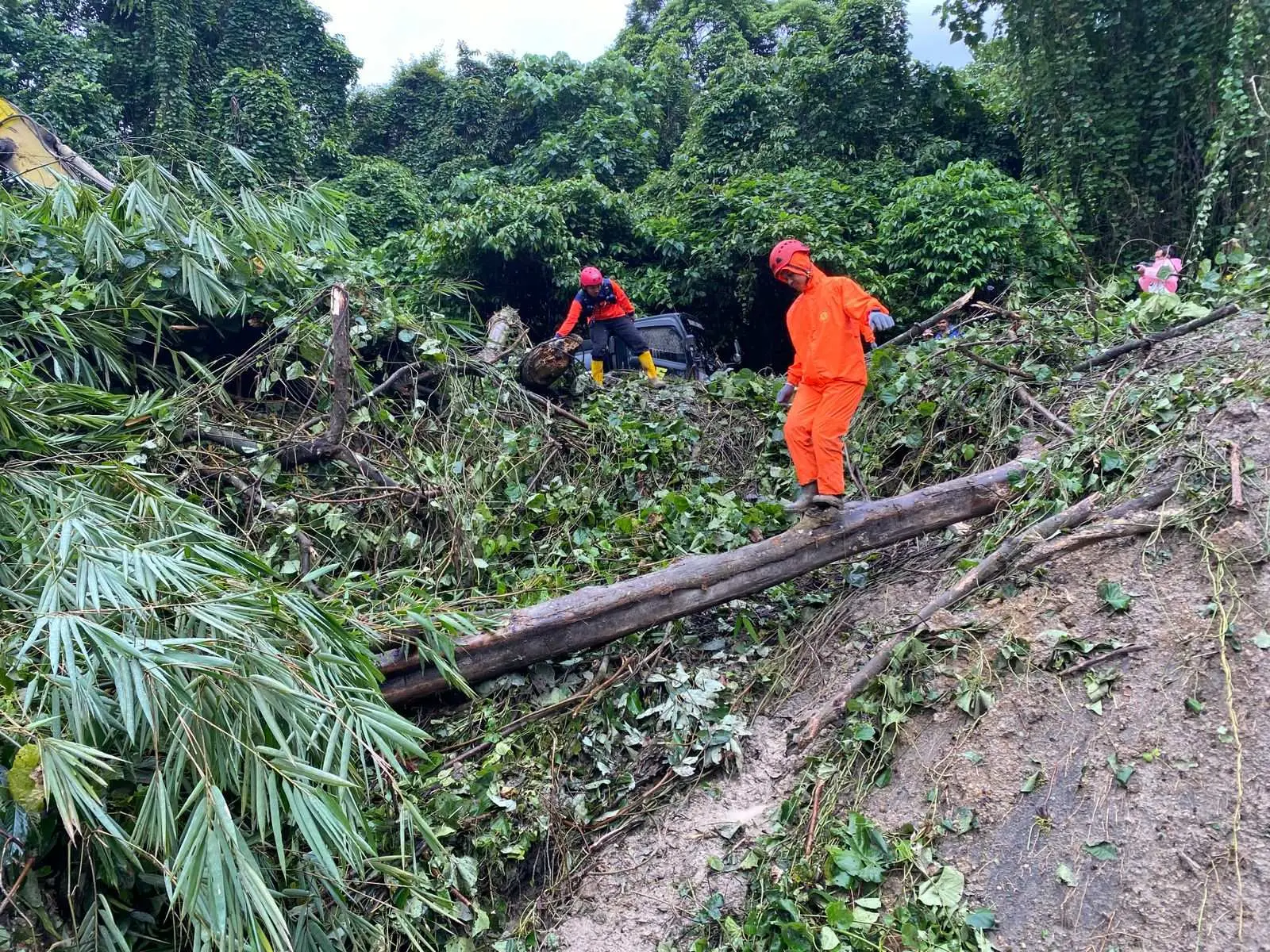 Longsor Hantam Bus Pariwisata, 7 Meninggal di Deli Serdang